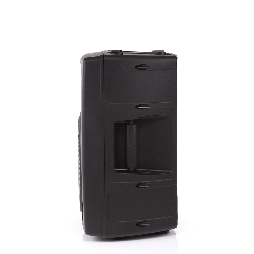 Promic SP-10 Extension Speaker