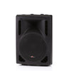 Promic SP-10 Extension Speaker