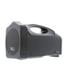 Promic PA-40W Portable Wireless PA System