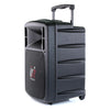 Promic PA-300W Portable Wireless PA System