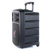 Promic PA-300W Portable Wireless PA System