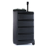 Promic PA-300W Portable Wireless PA System