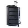 Promic PA-300W Portable Wireless PA System