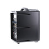 Promic PA-60W Portable Wireless PA System
