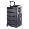 Promic PA-300W Portable Wireless PA System
